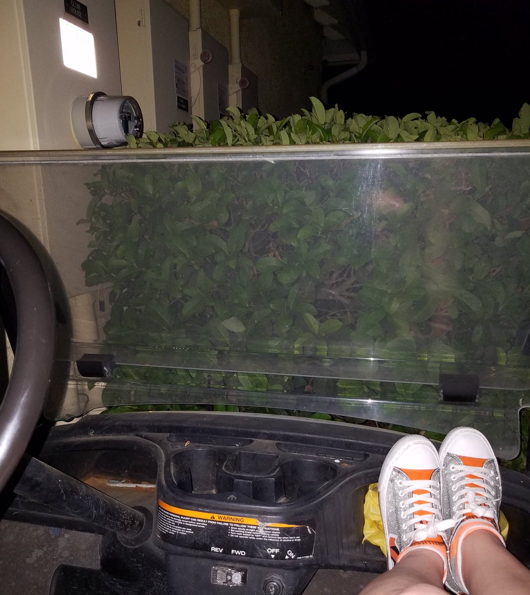 7DustKat73's tweet photo. The place I'm staying at has strict anti π¬ policy but I'm too wired so I found this random golf cart near the pool house & I'm chillin & not all my π¬ have names on them. #GlitterBengalsSneakers #LiveMusicHIGH https://t.co/JNiWXOB08u