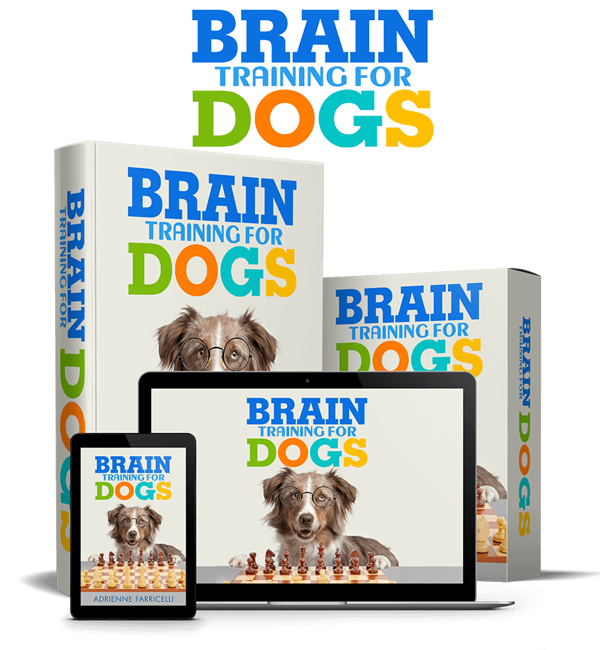 Brain Training for Dogs tweet media