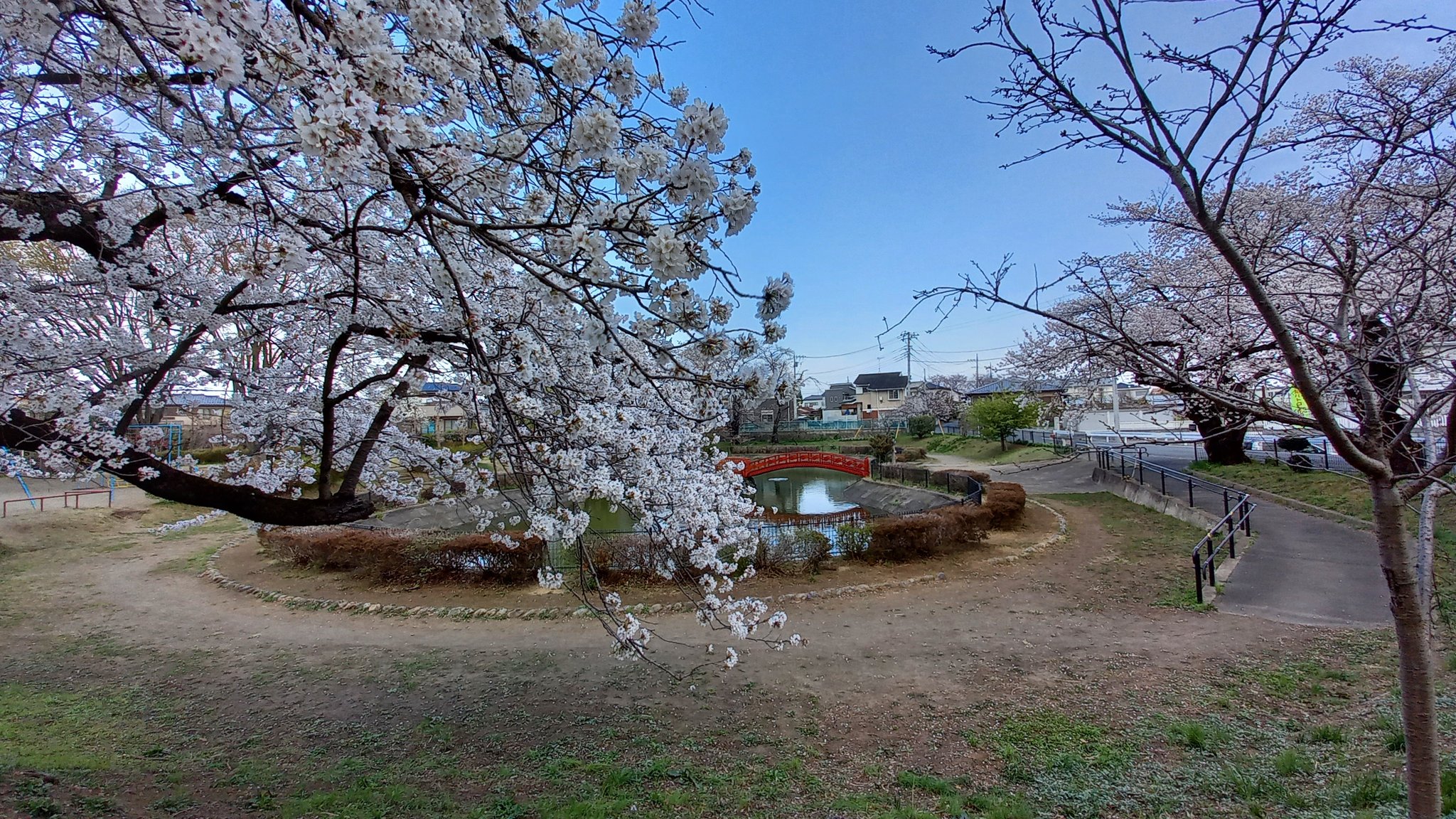 公式 嵐山町観光協会 嵐山町旅の達人 菅谷公園 さくら は見ごろを迎えています 武蔵嵐山駅 から歩いて約7 8分です 埼玉県 比企郡 嵐山町 菅谷 桜 サクラ T Co Fyzkdvqb7i Twitter