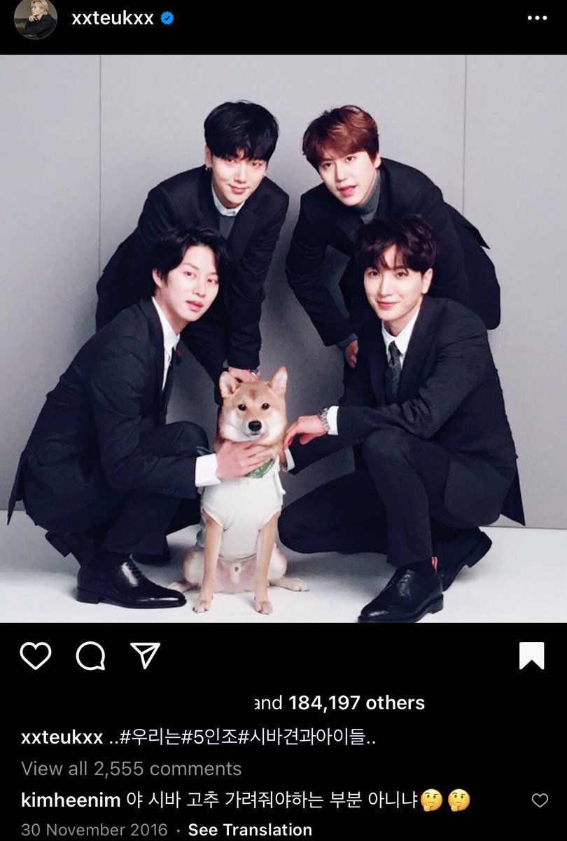 fiddabong's tweet photo. 10. Trans: #Weare #5members(quintet) #Sibadogsandkids

kimheenim: Yah, shiba chillies, dont you a person that should cover it 🤔 https://t.co/D5DuW7CZC2