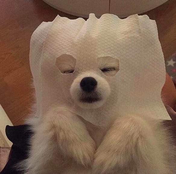 RealSleepCo's tweet image. What does your bedtime routine look like?