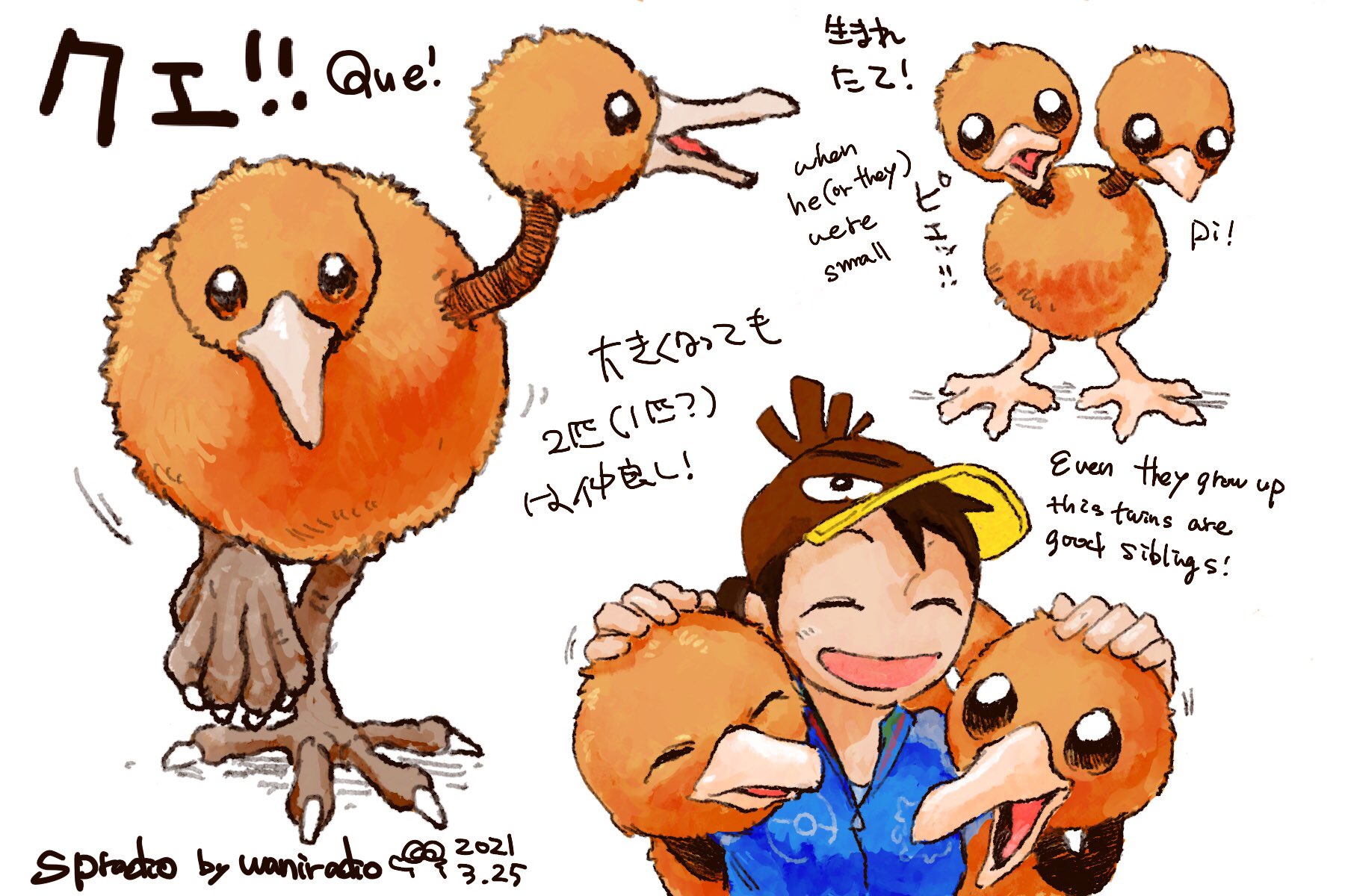 تويتر Spradio Commission Open على تويتر ポケモンと生活 ポケモンgo ドードー Pokemon Doduo 1日に1匹のポケモンを描くチャレンジ 84日目は仲良し双子鳥のドードー T Co Bp41crgbdn