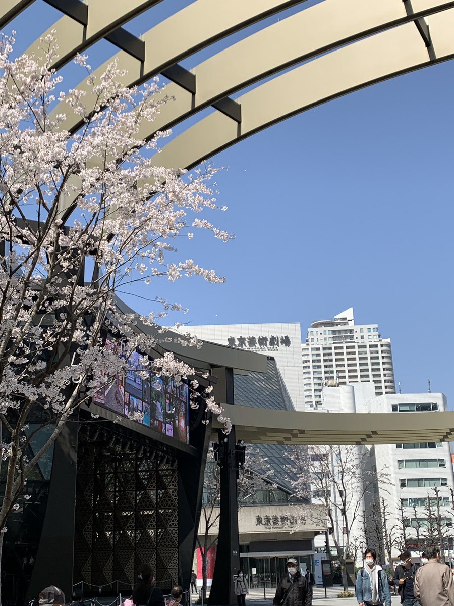 MJnaoki's tweet photo. 土日の本番のため昨日から劇場入りしています！！
桜も綺麗ですね、ゲネプロスタートです💪🏻✨ https://t.co/1Ki2A7NMGm