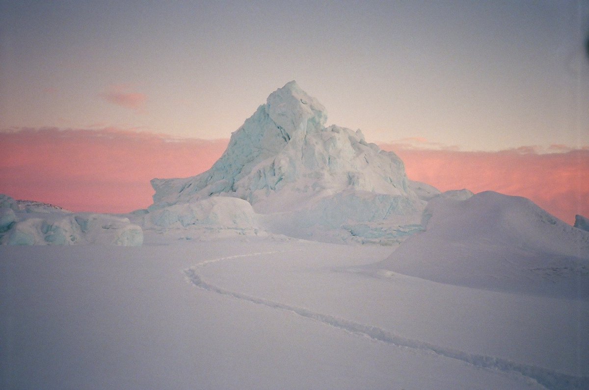 quinnslcm's tweet photo. greenland film https://t.co/WvsUpB08jf