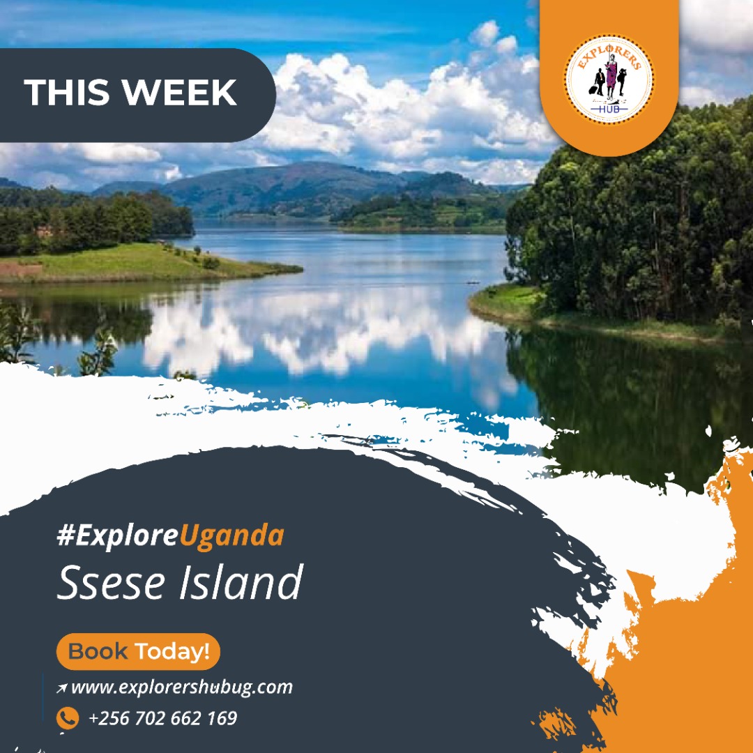 Explorers_hub's tweet photo. Take some time off and explore the beautiful Ssese Island to release the week’s stress.

#ExplorersHub #ExploreUganda #Hotel #Accomodation #Travel #Weekendvibes https://t.co/tQw61sYu0U