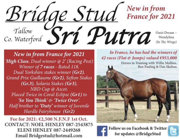 Bridge Stud tweet media