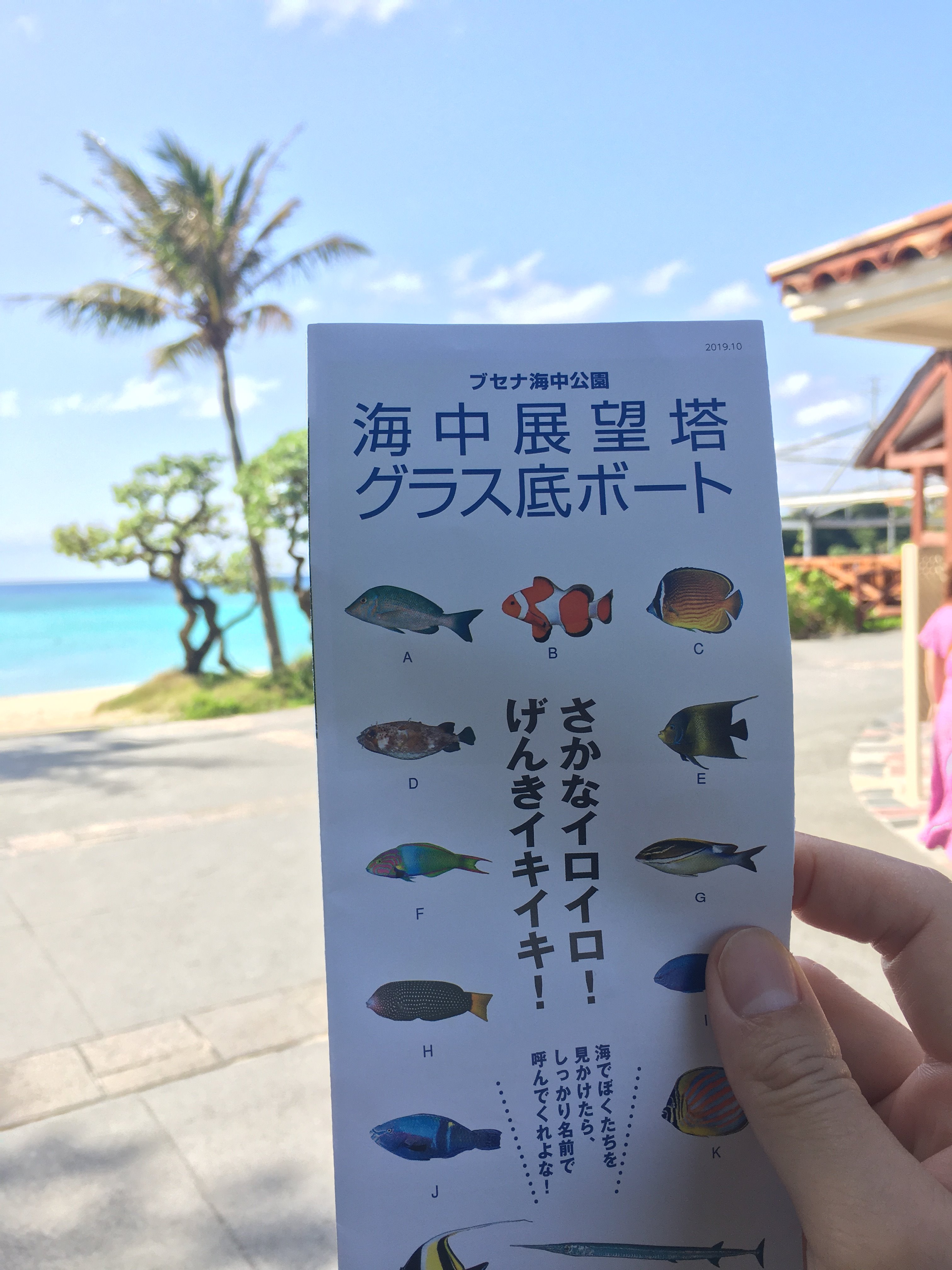 海中展望台 Twitter Search Twitter