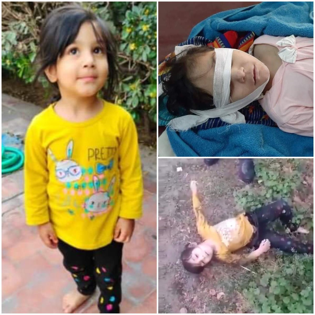 BDSPOfficial's tweet photo. ریاست  مدینہ کا ایک اور پھول مُرجھا گیا۔
It's time for exemplary punishment of "child abuse" culprits. They are animals in human shell. If state can't give protection to young children..Who will?? @ShireenMazari1 @PTIofficial @PTIKPOfficial @ImranKhanPTI 

#JusticeForHareem https://t.co/BhqPk3wrt3