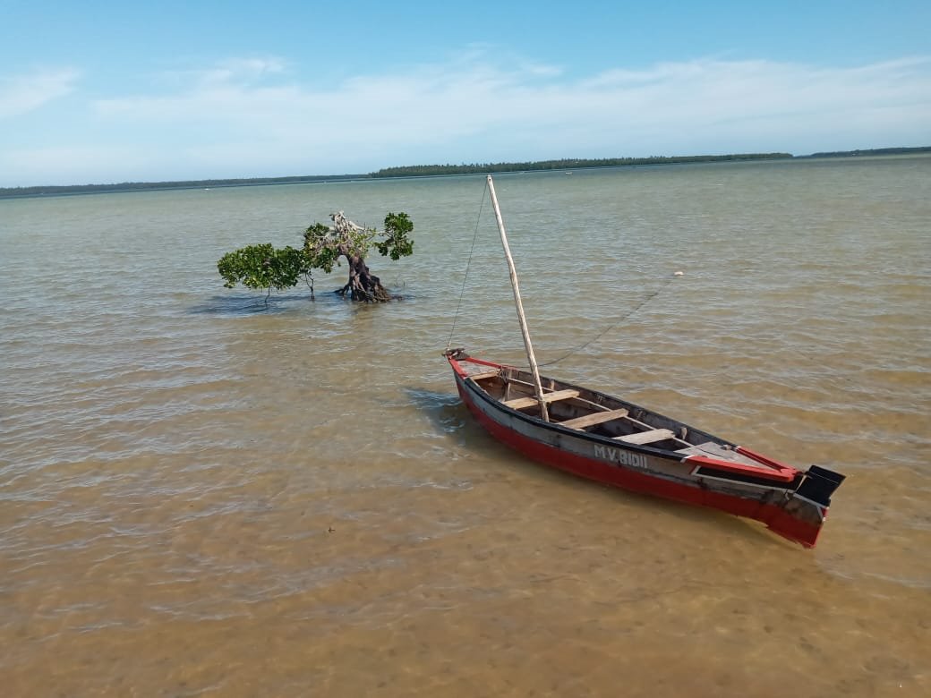 STTAKenya's tweet photo. Sustainability helps destinations and companies to make low risk investments, as well as to design low impact, value based offers.
Address #climaterisk in tourism.
#sttaconsulting
#buildtourismforward
#ClimateEmergency https://t.co/gGR9OixTX0