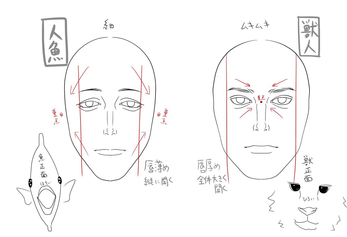 人魚って獣人に比べて正面顔が狭くて細面な横向きにやや遠心顔のイメージなんよな、二重も目頭側じゃなくて目尻側に集約するような感じ(語彙力)

リチ兄弟はアズより人間離れしててかなり海の民寄りな気がするから種族別造形の個性がより出ていると思うの心 