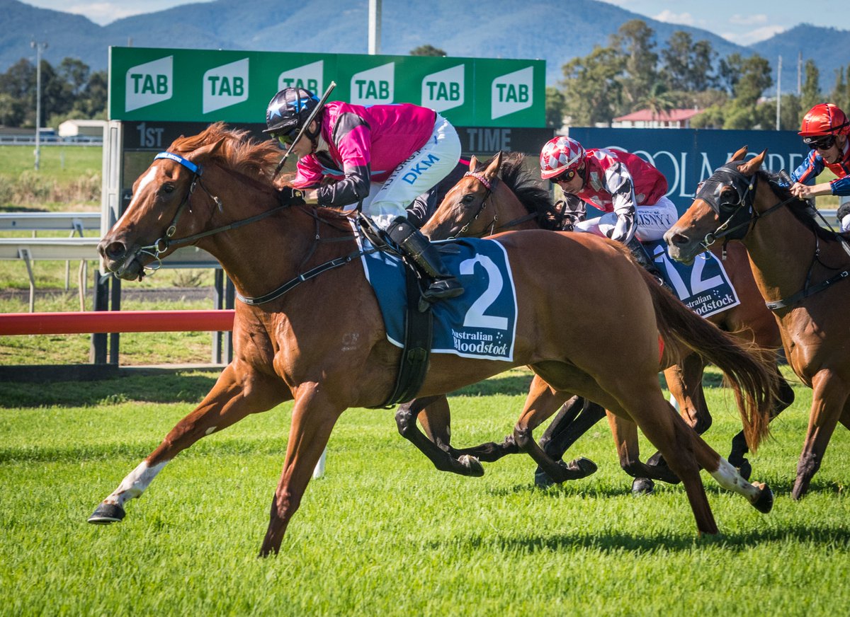 Muswellbrook Race Club tweet media