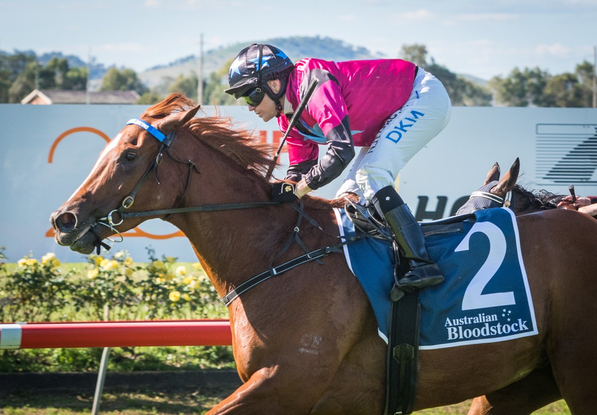 Muswellbrook Race Club tweet media