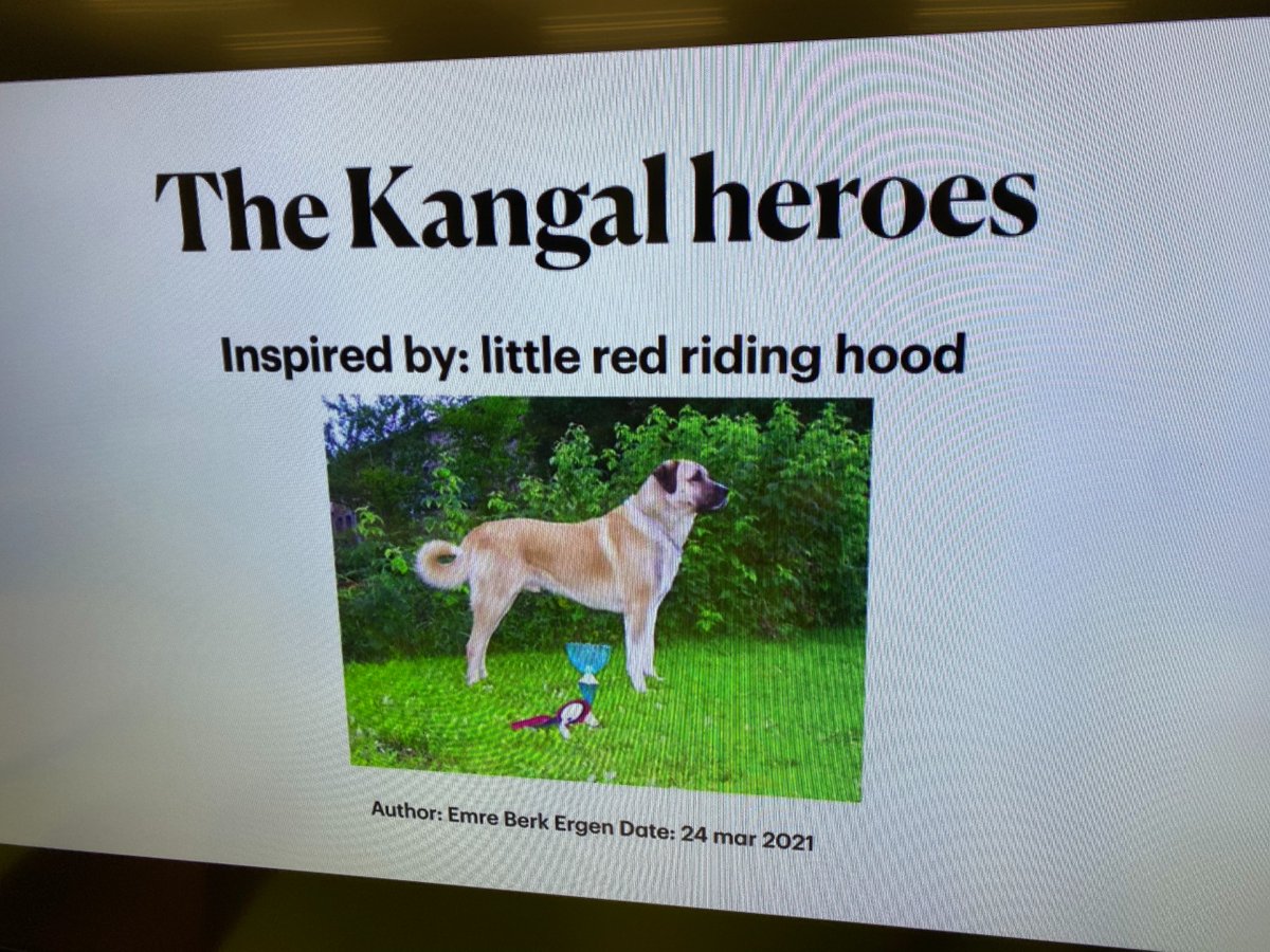 Beth Swartz tweet media