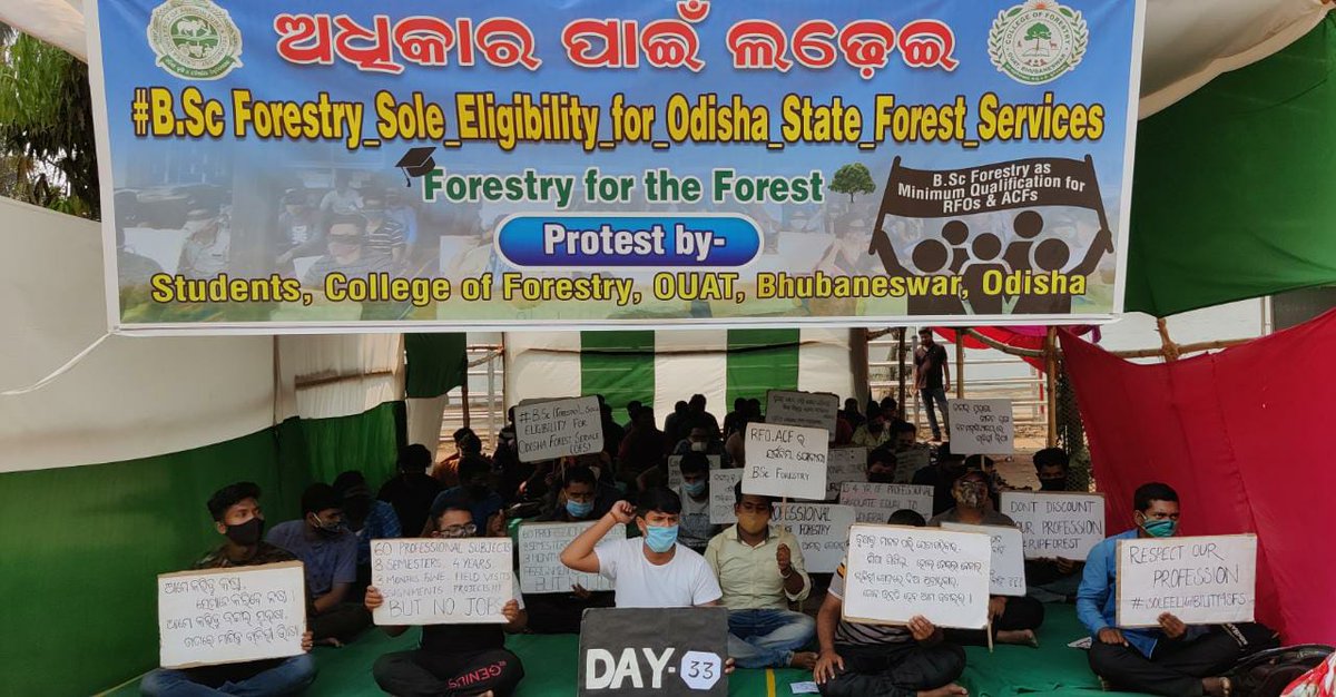 TuduGayatri's tweet photo. Day-33
#BSc_Forestry_Sole_Eligibility_for_Odisha_State_Forest_Services
@Naveen_Odisha @CMO_Odisha @BKArukha @dr_arunsahoo @MoSarkar5T @PrakashJavdekar @ForestDeptt @pccfodisha @ifs_odisha @otvnews @Kalingatv @News18Odia @NandighoshaTV @kanak_news https://t.co/Xg9NmUKQB8