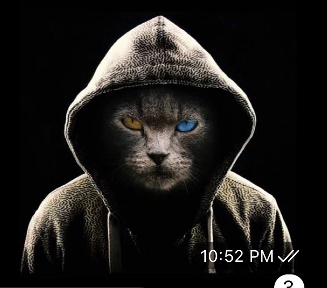Jay777Crypto's tweet photo. With all the amazing news about @FinanceGrumpy donating 70k to @sterlingshelter covered by @NBCNews and getting on @SushiSwap a new start begins!
Return of the #grumpyfinance ...
#Cryptocurrency #jedi #sushiswap #nbcnews #futuresbright https://t.co/QiLZdo1mpv