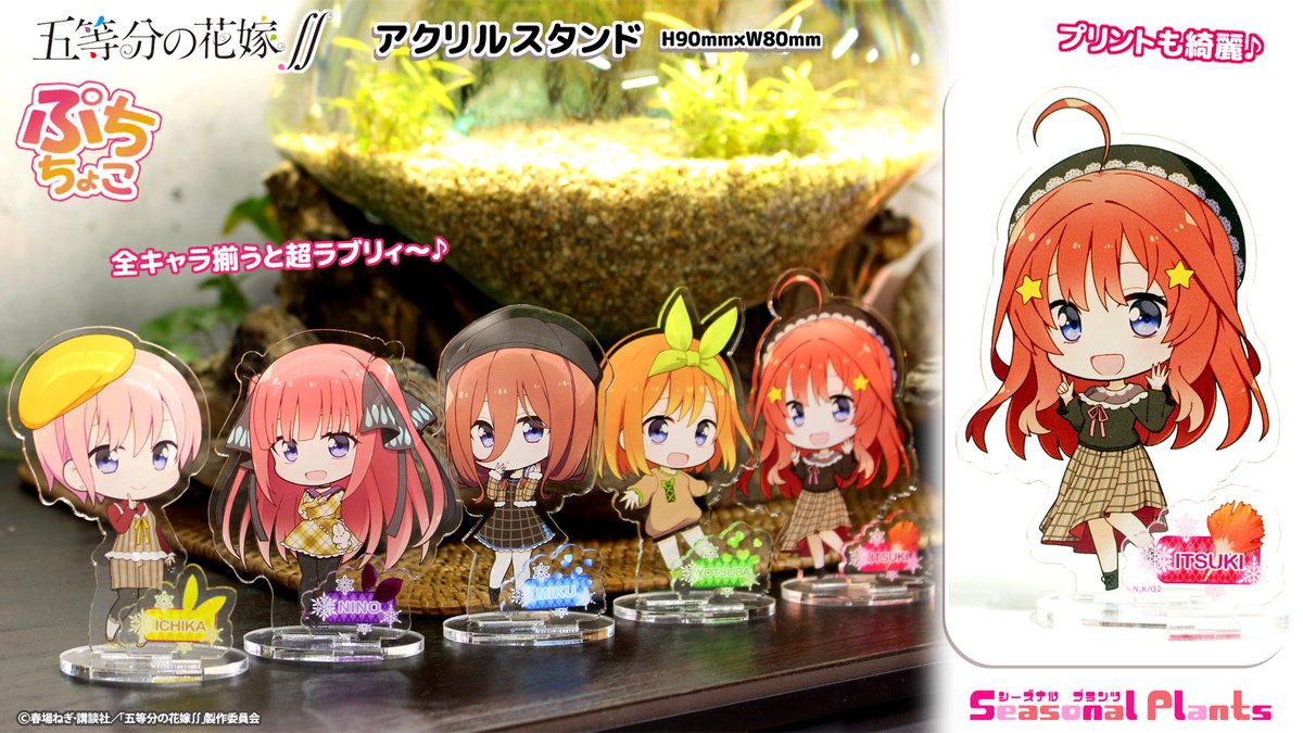 se_pla's tweet photo. 【五等分の花嫁∬】より
ぷちちょこアクリルスタンドが登場♪

実物写真お披露目♪
5人がオリジナル衣装で超ラブリー♪

只今予約受付中！

楽天
https://t.co/0QwMKpgSnr
Yahoo
https://t.co/NW1QsSQoJl
Amazon
https://t.co/GAzDWSwiui

#五等分の花嫁 
#五等分の花嫁2期 
#シーズナルプランツ https://t.co/eAf0muOTiG