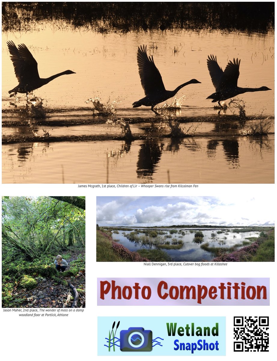 WetlandSurveys's tweet photo. Irish Ramsar Committee & Wetlands Surveys Ireland World Wetlands Day Photo Competition winners for February Announced. See them at: https://t.co/2NAJwxFALo
Competition runs until 31 May 2021. Send in entries on the Wetland SnapShot app: You can get it here https://t.co/NQZeJMoy41 https://t.co/xaCxWvA5qj
