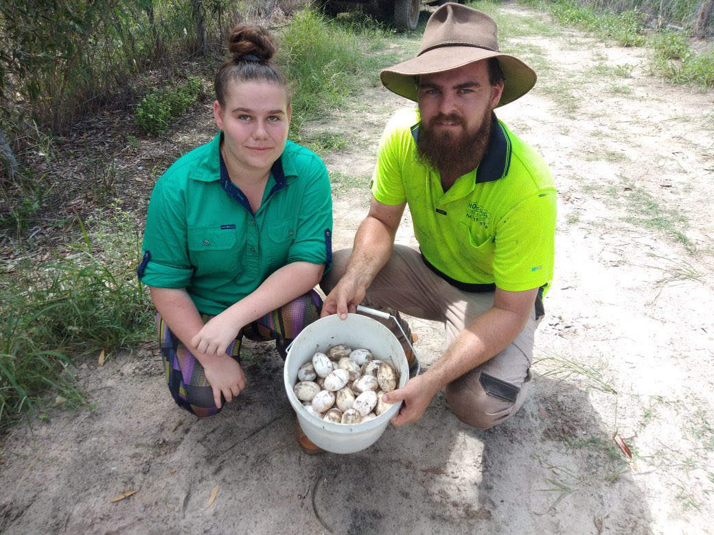 WINNews_CNS's tweet photo. Meet the Far North croc wranglers in training, snapping up valuable experience with an industry legend at his CQ croc farm 🐊 see this daring duo in action on tonight at 6pm.
Channel 8 &amp; 80(HD) | #WINNews6pm #SaveOurVoices @saveourvoices https://t.co/30DXTCbSKi
