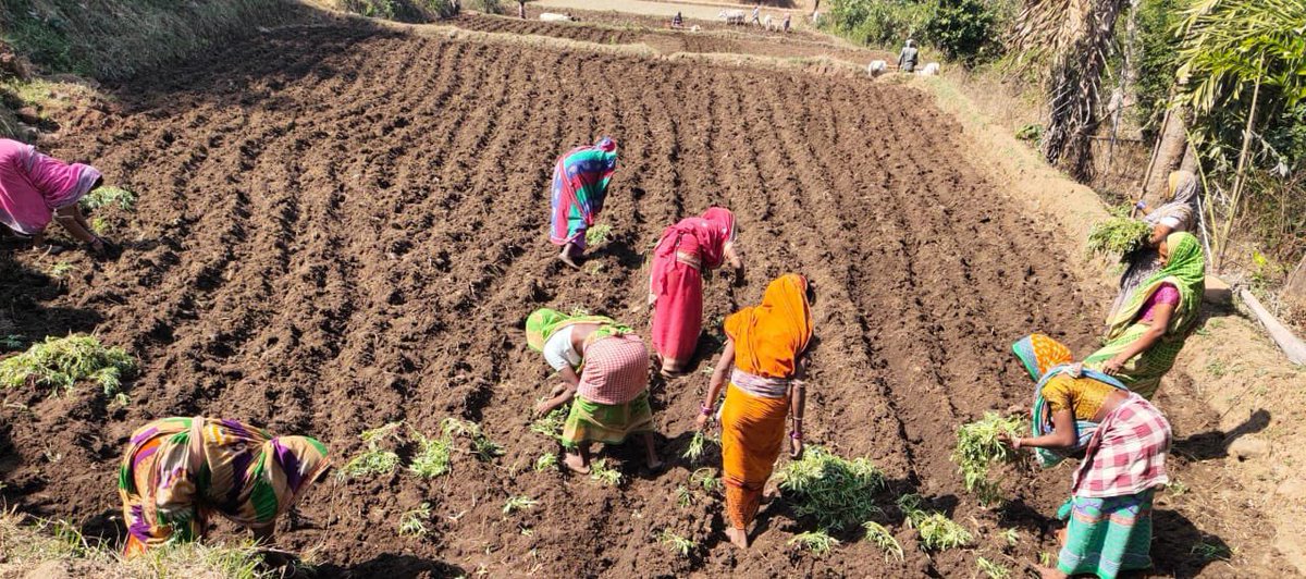 samarendu mohanty tweet media