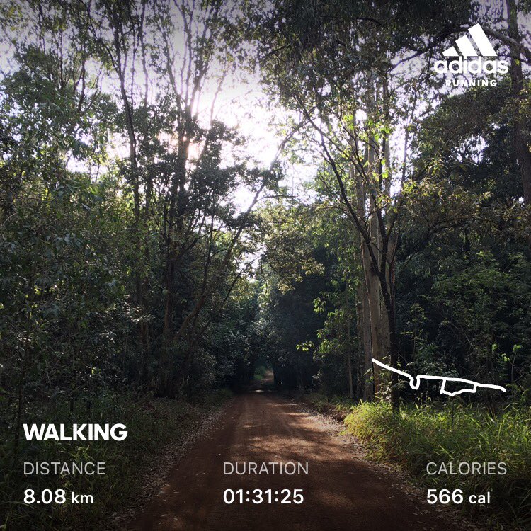 MumbaMusondam's tweet photo. Cathedral of love and life = #KaruraForest 🌳,....what JOY 🤩a long walk and half run 🏃🏾♀️. Ready for my day & #WeekendVibes #KeepMoving #RunnerDiplomat #RunnerMum #NatureIsLoveAndLife https://t.co/4YYMMyT1ZK