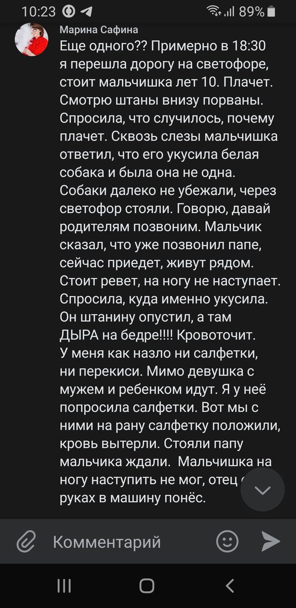 Satellit tweet media