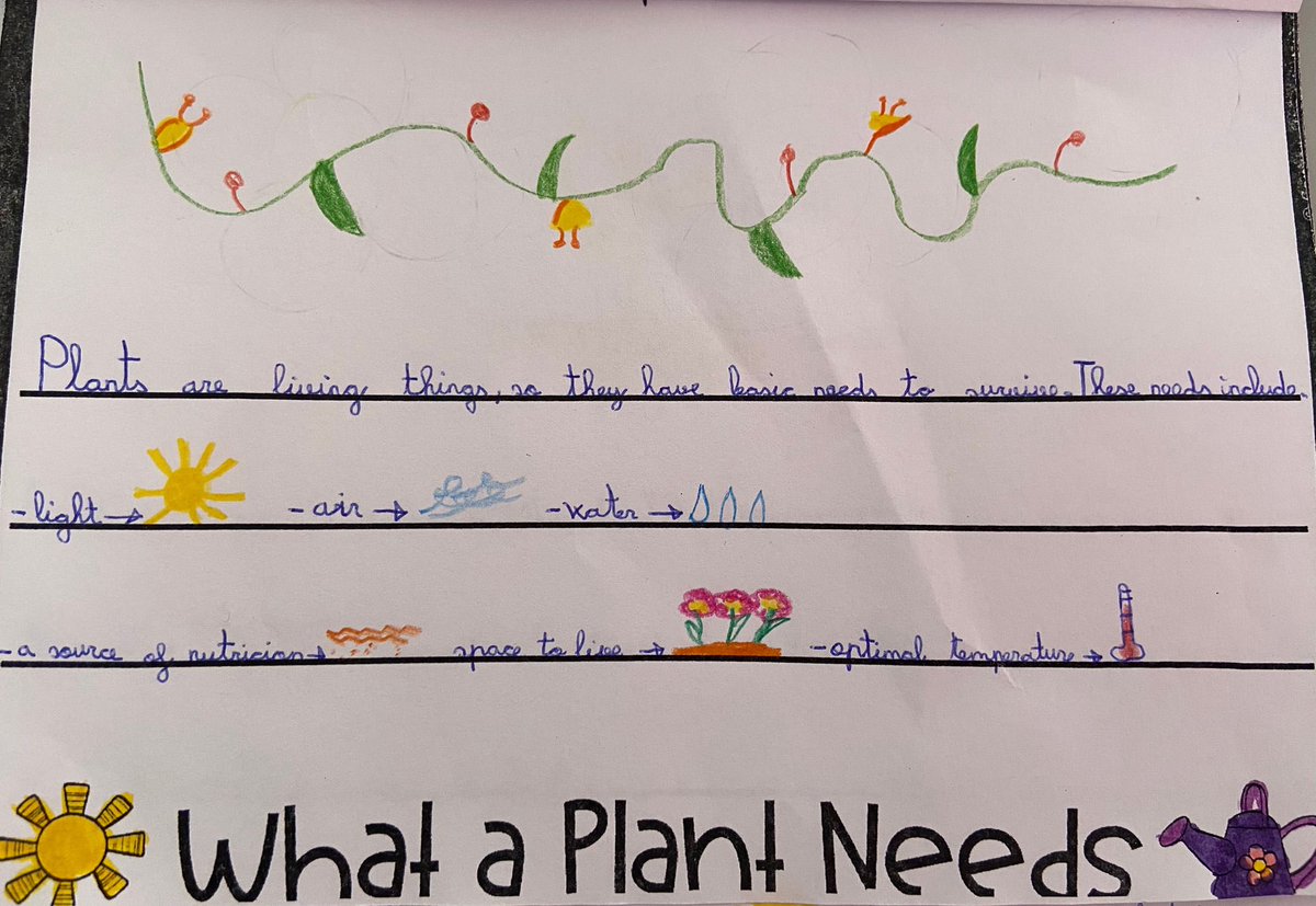AgusEnglish's tweet photo. In year 4 we learn about the needs, parts and life cycle of plants with a flap book! 🌱 🌱 Well done!! #EnglishIsFun https://t.co/BeOZHlOiDV
