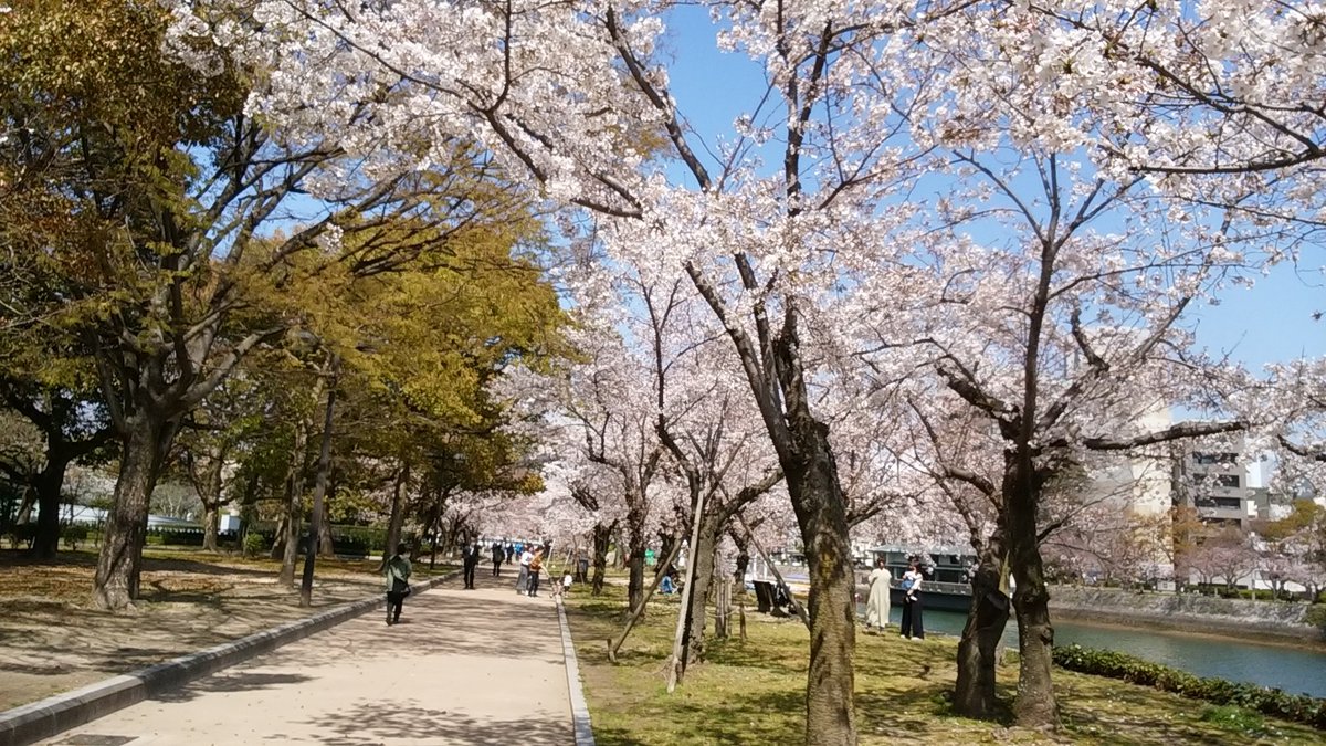 平和記念公園の桜今年度も残りわずかです ひろしま国際センター 近くの 平和記念公園 の桜は まもなく 満開 です 今年も 21 03 26 中区の企業 公益財団法人ひろしま国際センター まいにちを豊かに りっち
