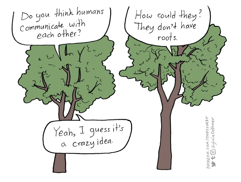 kamal_acharya88's tweet photo. Tree Talks, Brilliant comic by Sylvia Odhner. #treetwitter #treehugger #treehumor #urbanforestry
(Source https://t.co/i9826XXajb ) https://t.co/QZ9AjdsCpC