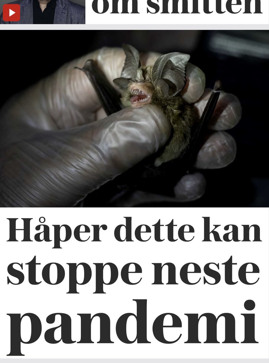 Gremlins 4 - Pandemic stops here.