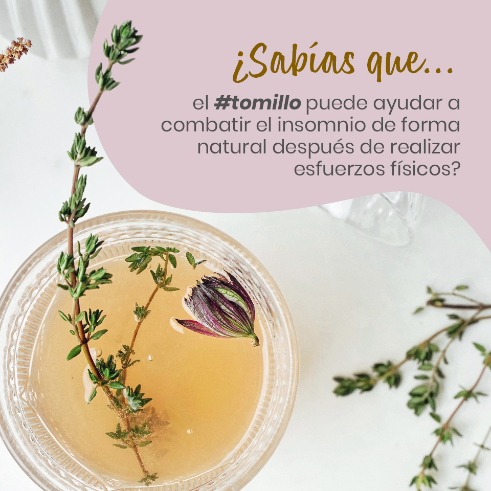 naturitas_es's tweet photo. Tomillo en Naturitas 👉 https://t.co/XxWLrTIVN7

Encuéntranos en 🖱 https://t.co/zXk8QQonEV

#Naturitas #naturitascontigo #naturitasrecomienda #cuidadosnaturitas #naturlovers #genuinamentenatural #genuinamentenaturitas https://t.co/8cNjvwqdfs