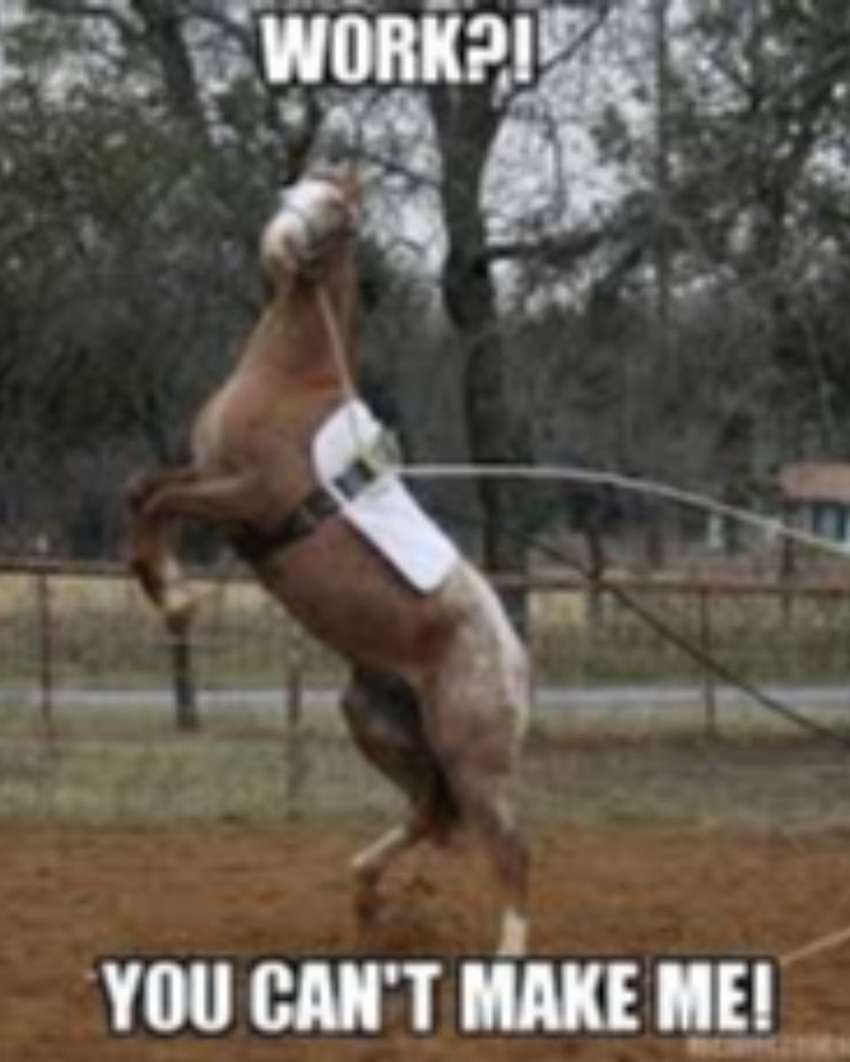 Well, it is a Friday!