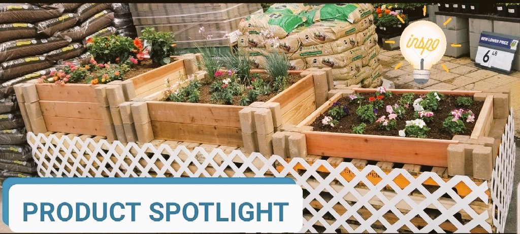 Cecy2270's tweet photo. Shout out to our OSLG team for setting up this raised bed display in front of our garden center!! Awesome job showcasing our #productspotlight and inspiring our DIY customers!!! 
@specialtylowes
#lowes2270
#region8
#LowesServicesR8 #Region8 #LowesProjectRenovationR8 https://t.co/2Y0D9uWYHN