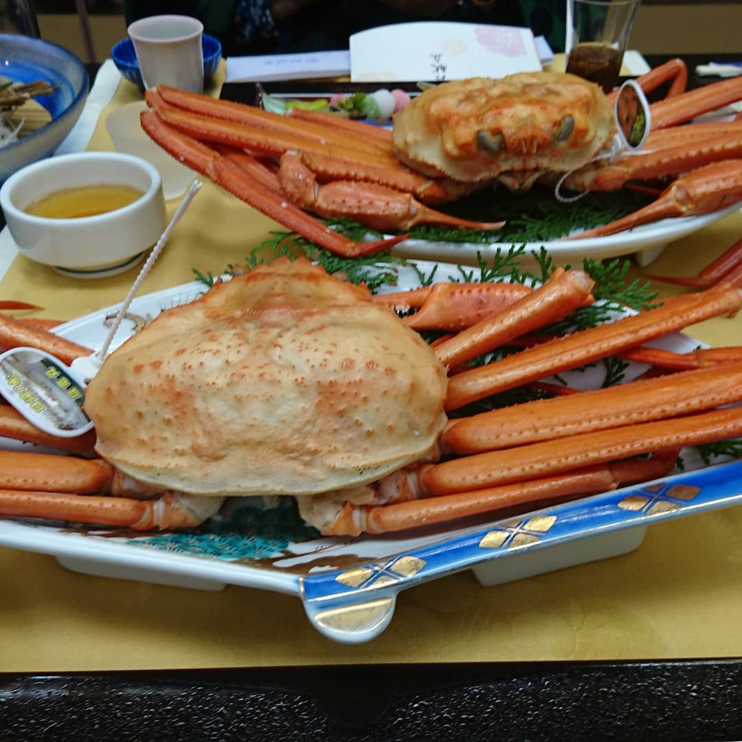 AceCandyhouse's tweet photo. 朝野家さんの香住蟹、家内と一緒に行きましたが、「黙食の蟹食い」になりました。(笑) https://t.co/zit9z7WS6s