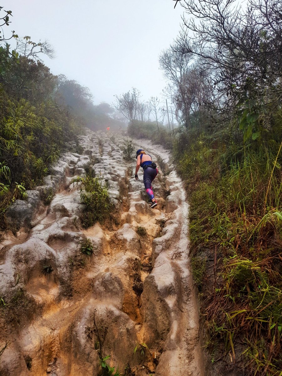 rosawestermeyer's tweet photo. Training en el Volcán 
⛰🚶‍♀️💨🌲🍃🌿🦜🦋🍁 https://t.co/eFl4R0m3pl