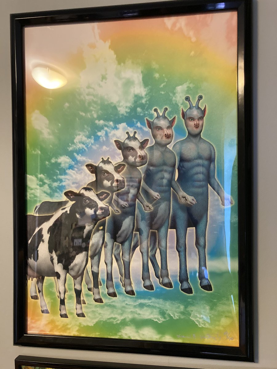 ax the andalite turning into a cow