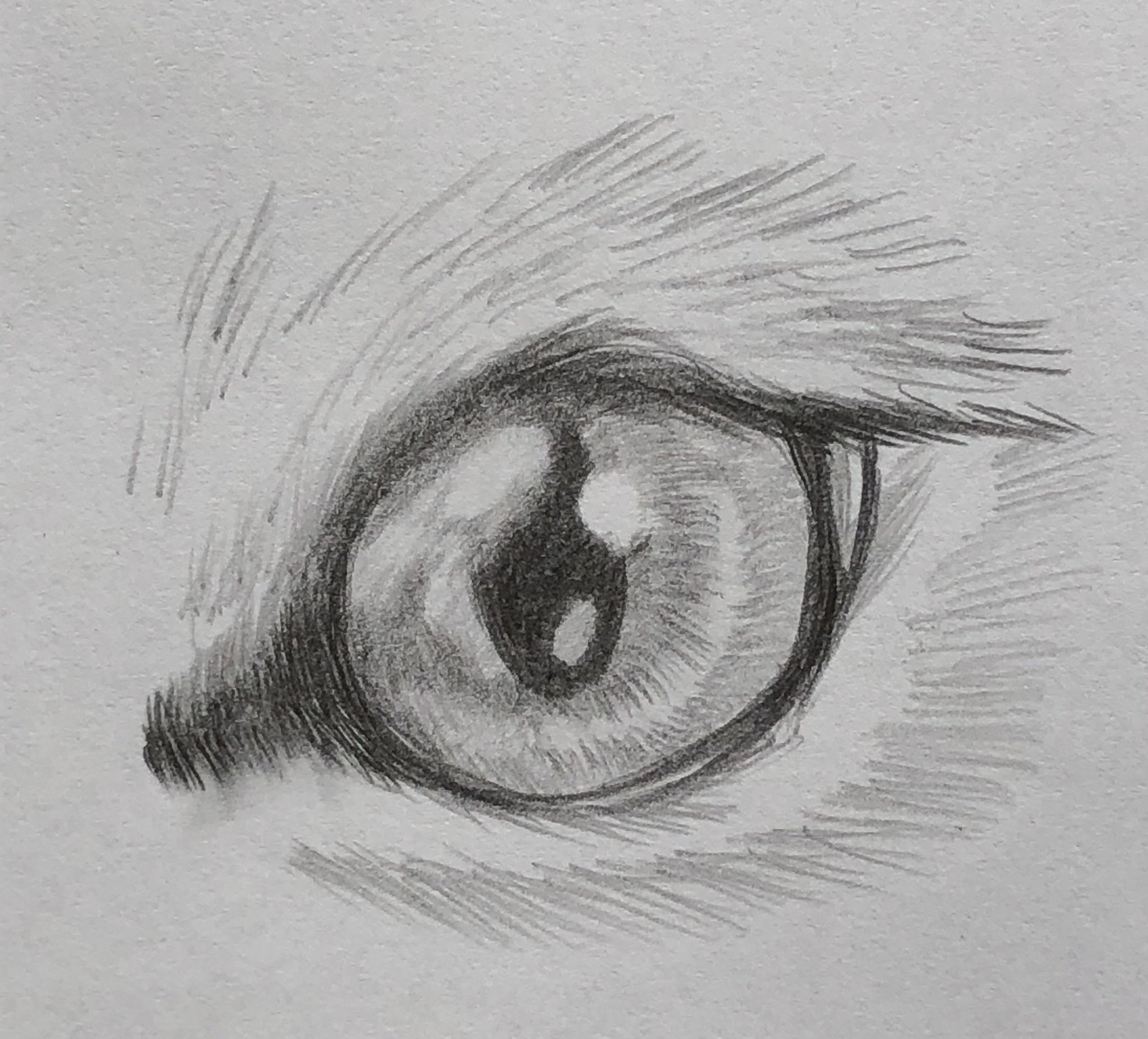 サン A Twitter 獣の目っぽい なにか シャーペン画 イラスト練習 T Co Sskhaarf Twitter