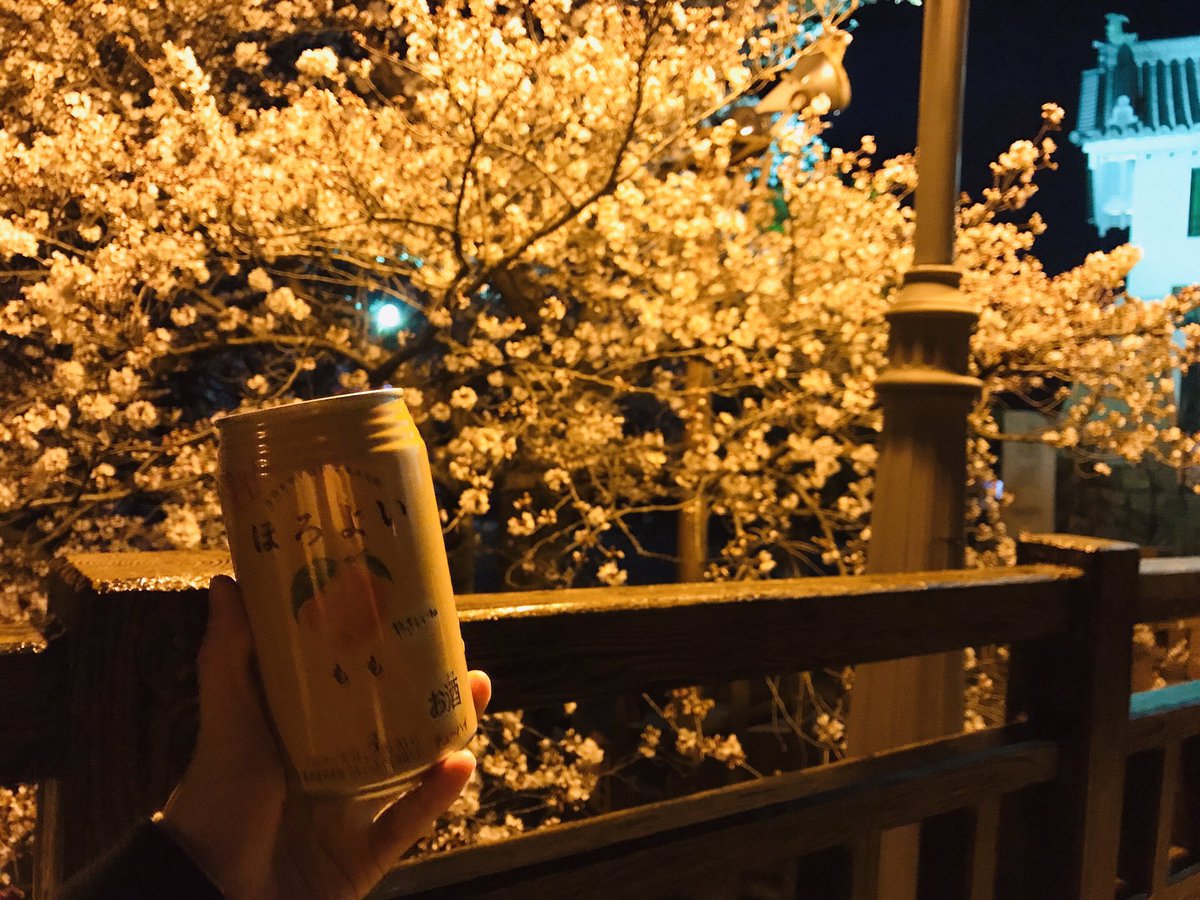 chiyma922's tweet photo. 夜桜なう🌸 https://t.co/tRgxV4L14l
