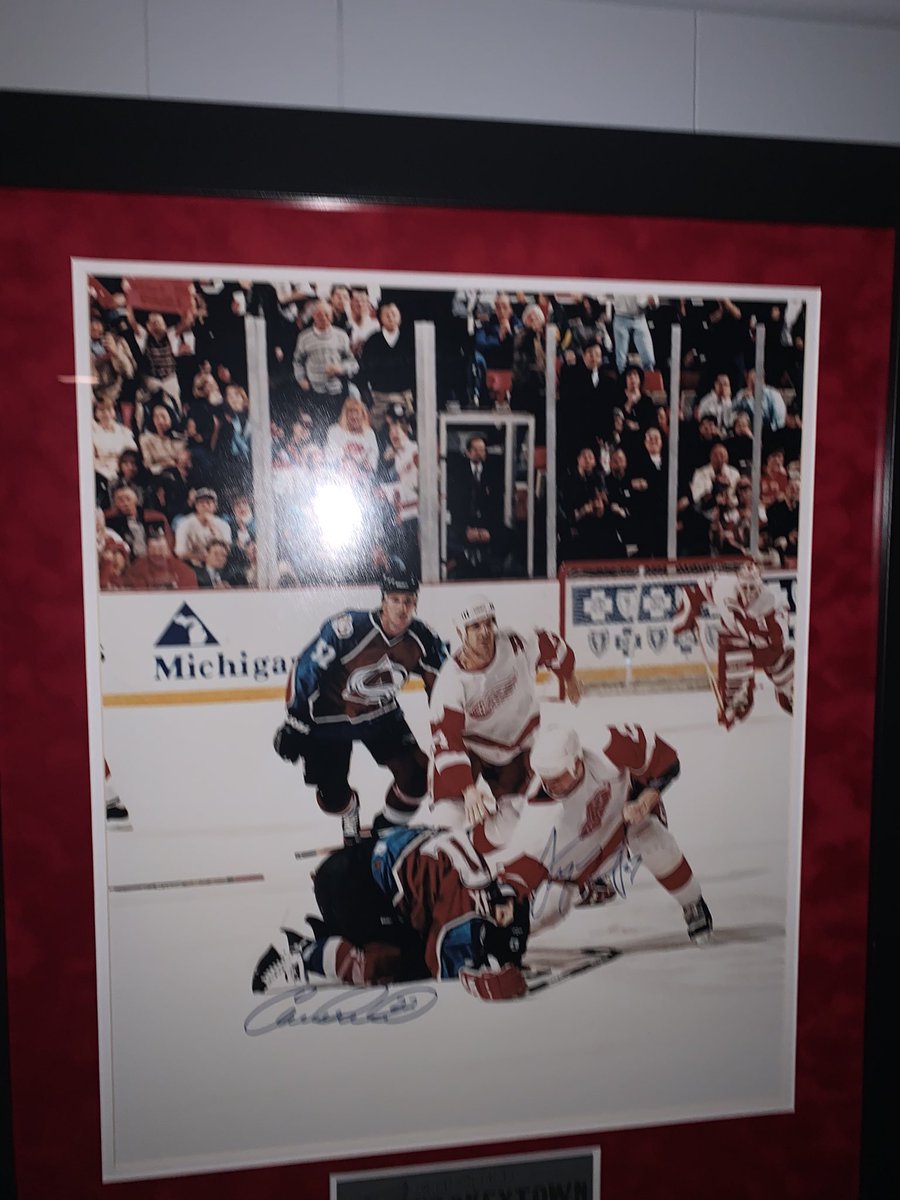 GemMintJankens's tweet photo. Hockey may not be my favorite sport but this piece of Detroit history will always have a place in my home! When you get the turtle to sign him being a turtle is a WIN! #imaturtle https://t.co/5pinIllLZq