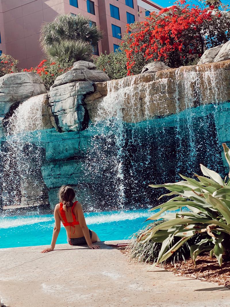 ElenaTuckey's tweet photo. I'm a finalist in Caribe Royale's Photo Contest- Help me rally votes: https://t.co/a0QbNQ9fRg @cariberoyale https://t.co/YZmBEMA9BC