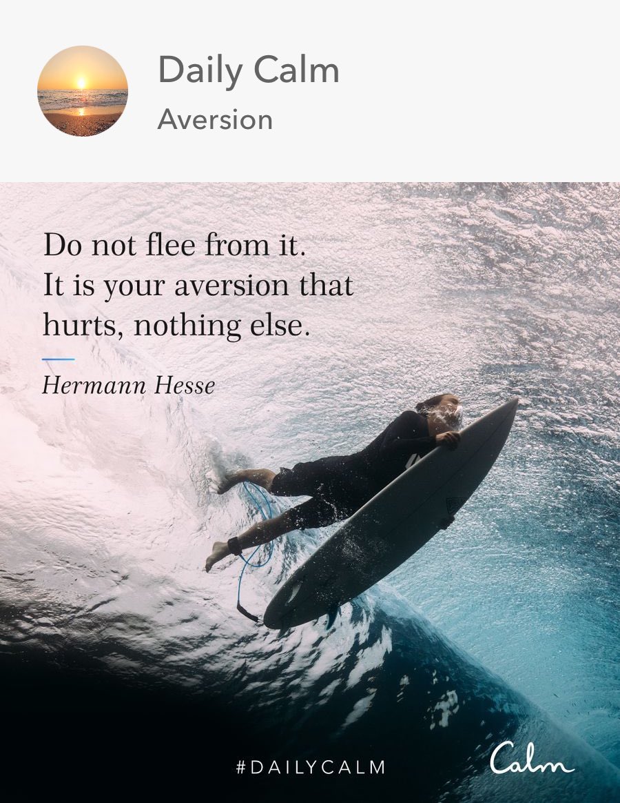 Windelspectrum's tweet photo. Just one arrow. @calm #thismoment https://t.co/qfD33lYTpR https://t.co/vxk4ZOwHtR