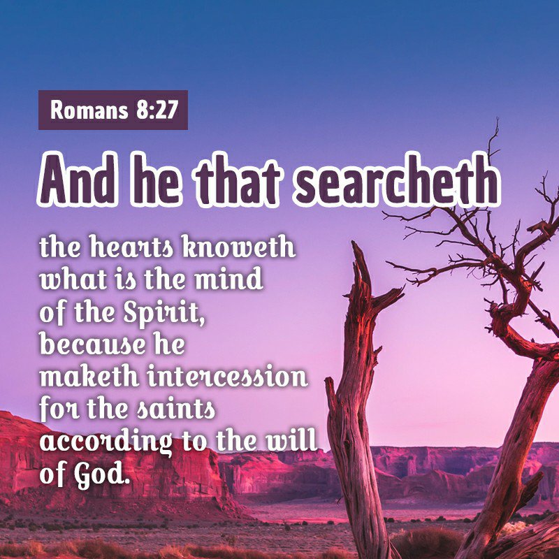 What we search for the mind of the spirit may cut in and see that we may or may not find what we are looking for so that is be according to the word and will of god
