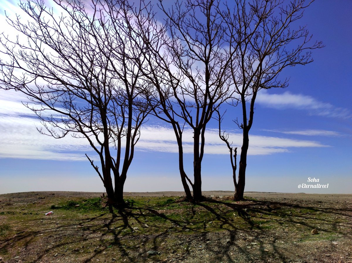 Eternaltree1's tweet photo. Today I visited a place on the heights of Tehran that was like the end of the world for me. I found some beautiful glass stones there.
Nature has always something different to offer 💚🤍
#nature #NaturePhotography
#glassstone #pebble #stone
#Tehran https://t.co/IgBHJit1Ix