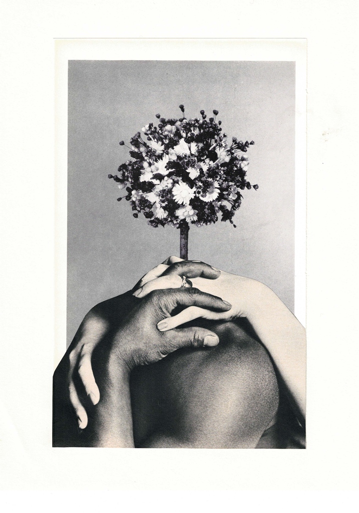 Hangar Photo Art Center tweet media