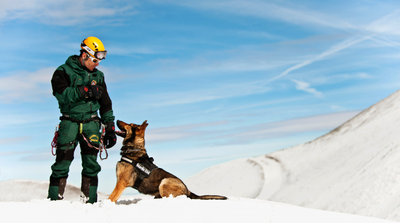 guardiacivil tweet picture