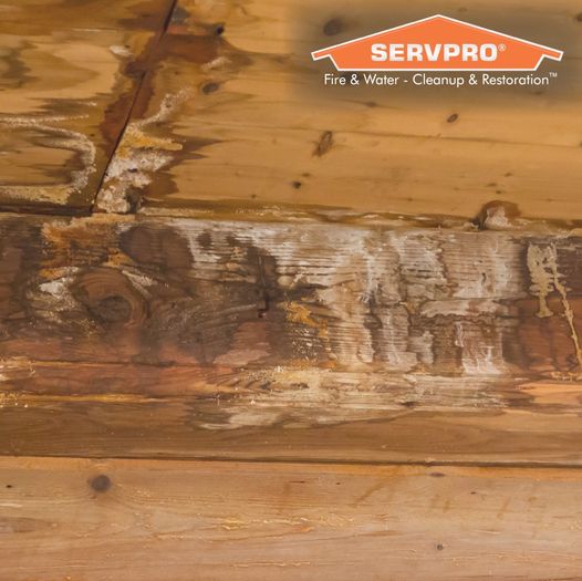 Servpro Horry County tweet media