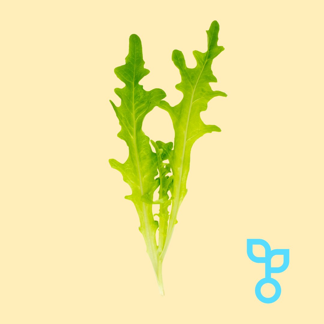 Customization: Growing in a controlled environment means that we can optimise and reliably reproduce the size and taste profile of all our produce!

#food #health #wellness #recipes #ingredients #london #shoplocal #verticalfarming #sustainability #eatwell