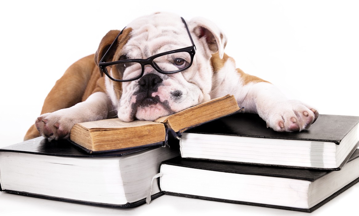 First Citizens' FCU tweet media