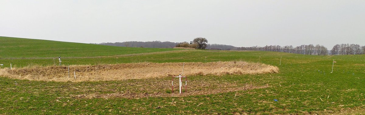 MarlenePatzig's tweet photo. Highly equiped #kettlehole #pond for the new field season in the #SWBTrans project @zalf_leibniz @europeanponds https://t.co/PsqR8081xe