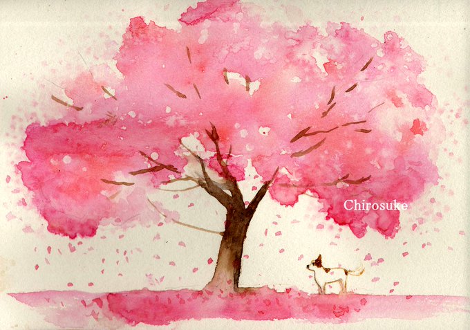 「みんなで咲かせるSNS桜まつり」のTwitter画像/イラスト(古い順))