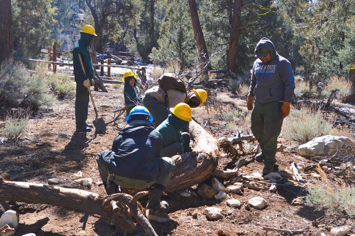 WeLoveStewards's tweet photo. The Urban Conservation Corps is working to spruce up the outdoor area of the Big Bear Discovery Center during the remodel. #localcorps #calcc https://t.co/piaqP5zjBZ